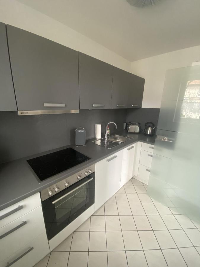 Apartment Am Gruenen Park Ерфурт Екстер'єр фото